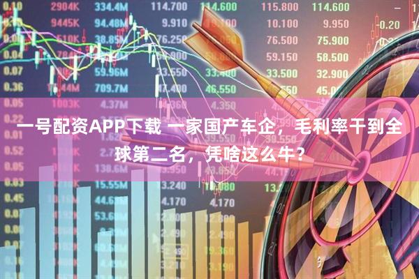 一号配资APP下载 一家国产车企，毛利率干到全球第二名，凭啥这么牛？