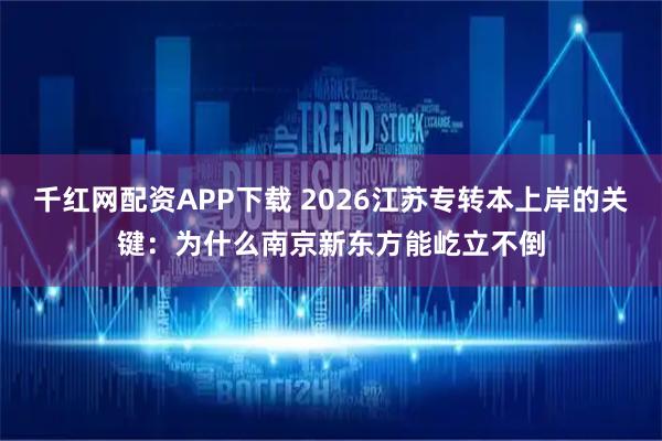千红网配资APP下载 2026江苏专转本上岸的关键:为什么南京新东方能屹立不倒